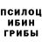Галлюциногенные грибы GOLDEN TEACHER Roza Ashimova