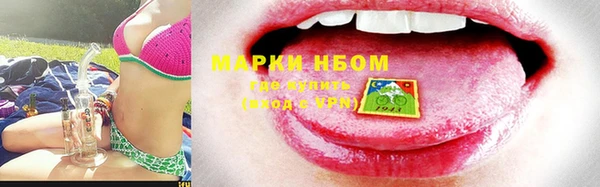 прущие грибы Баксан