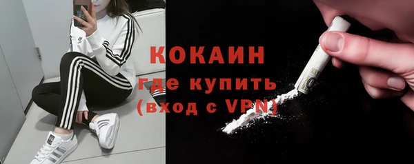 прущие грибы Баксан
