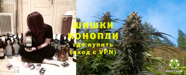 прущие грибы Баксан