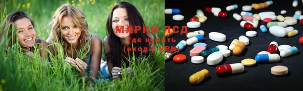 прущие грибы Баксан