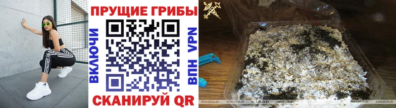 Псилоцибиновые грибы ЛСД Никольск